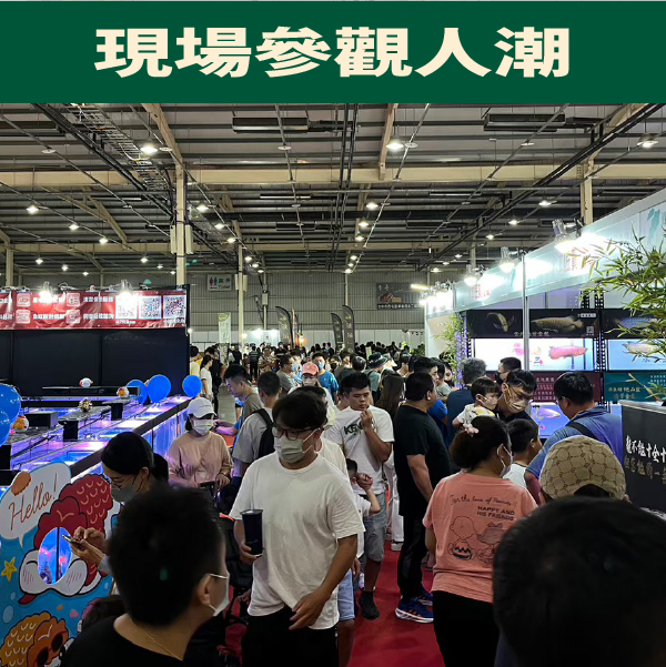 台灣爬蟲展2025, 爬蟲展2025台北, 台中爬蟲展2025, 兩棲爬蟲展, 爬蟲展台北